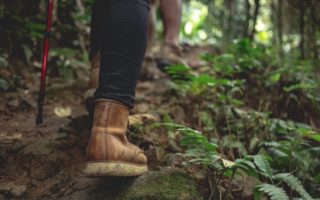 10 Razones para hacer turismo rural